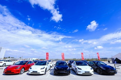 特斯拉上海超級(jí)工廠開啟Model 3整車出口新篇章，引領(lǐng)全球新能源汽車產(chǎn)業(yè)格局重塑